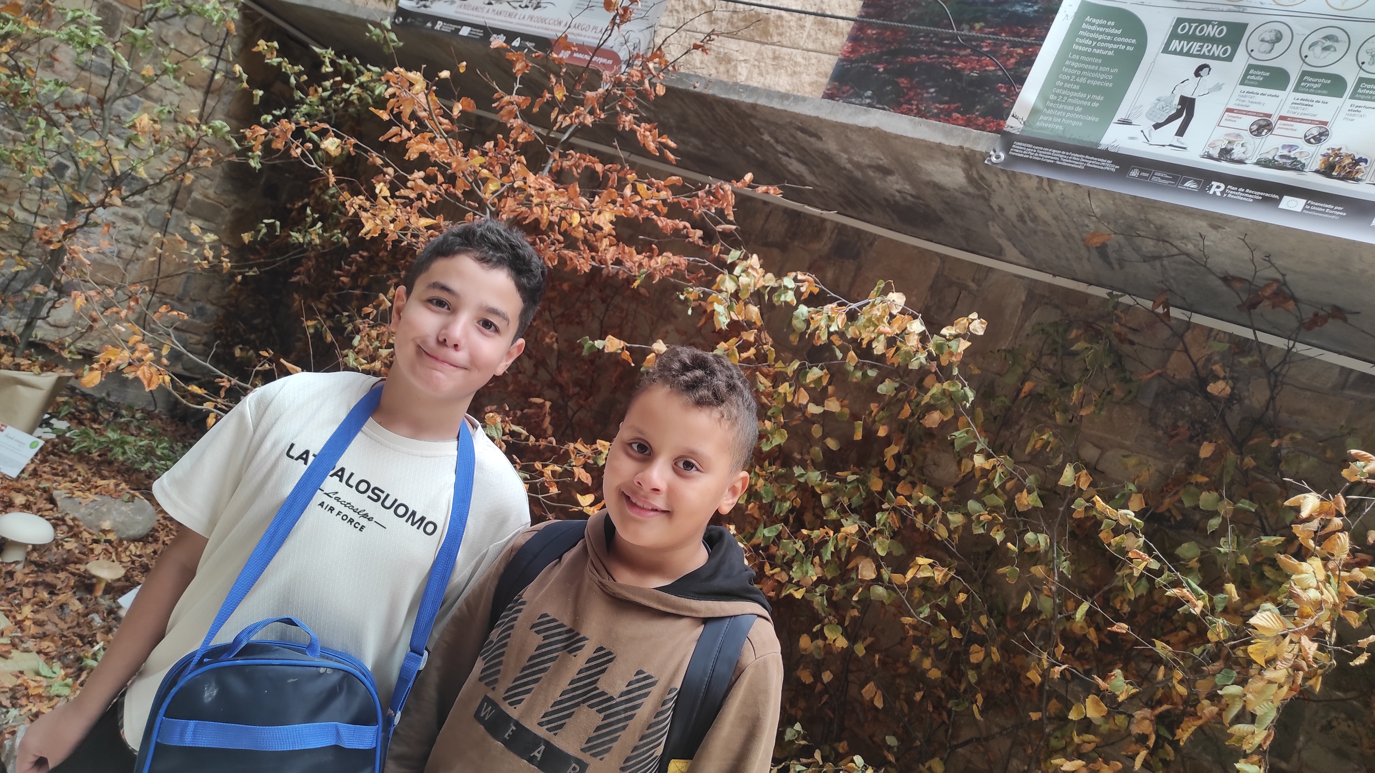 Copia de IMG_20251030_122838.jpg